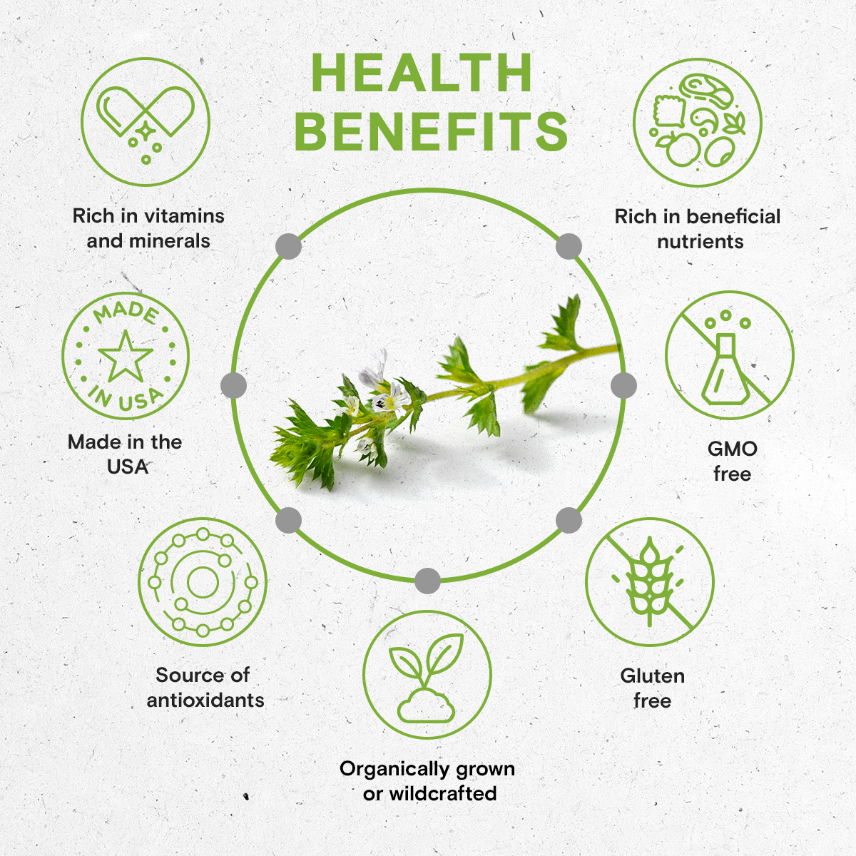 Eyebright Tincture: 2 FL OZ / Alcohol-FREE