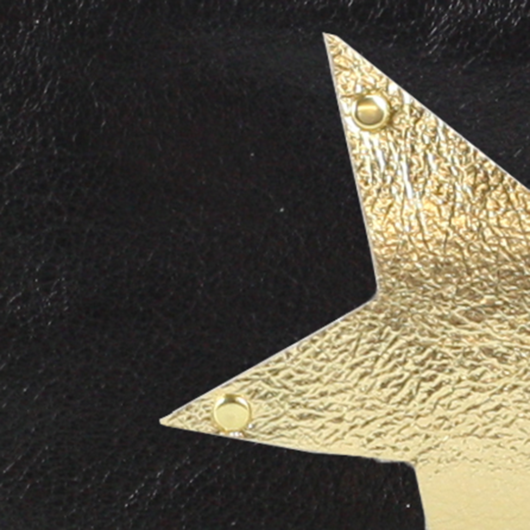 The New Side Star Applique Taylor Crossbody: Gunmetal w/Platinum Star / 11"x9.5" Lined / Classic Black Leather Strap