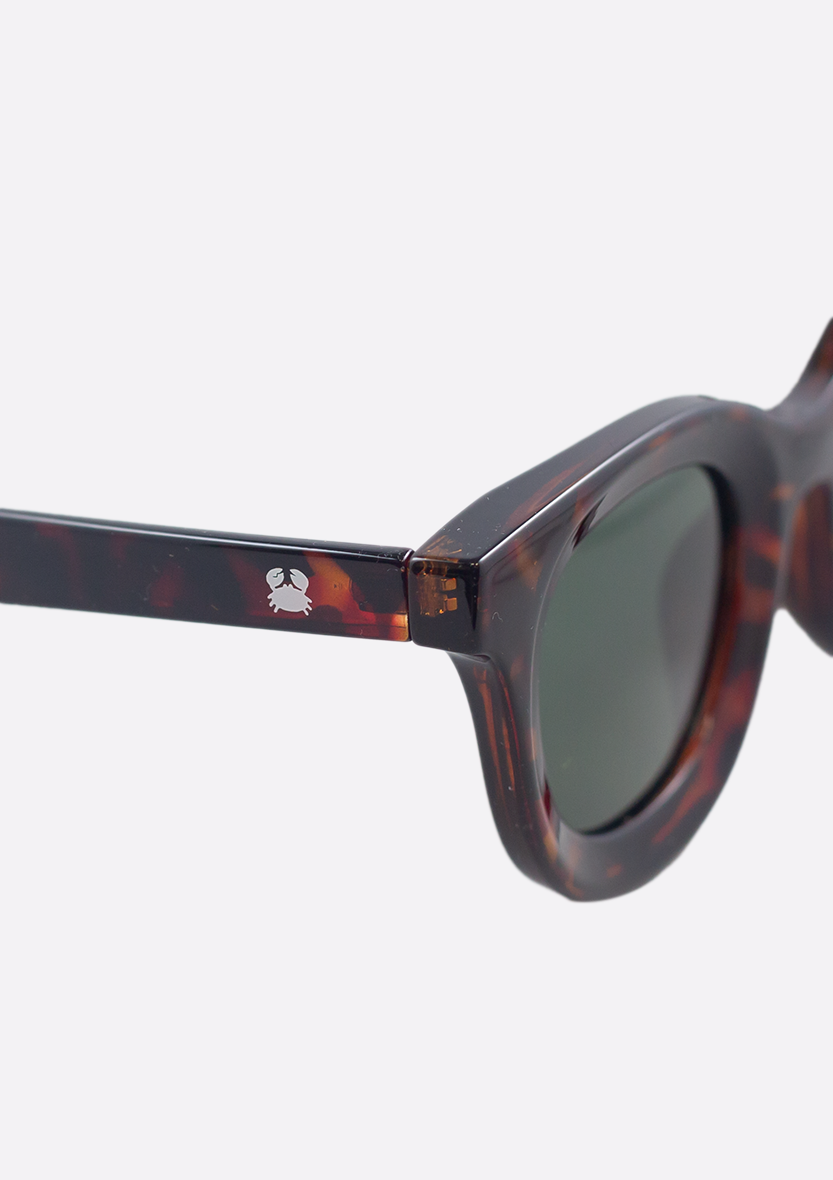 SUNGLASSES (POLARIZED) - LIBYA TORTOISE GREEN