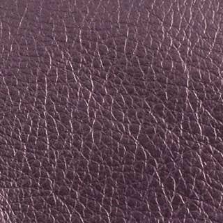 The Metallic Eyeglass Case