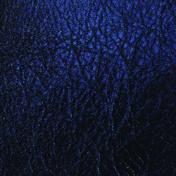 The Metallic Eyeglass Case