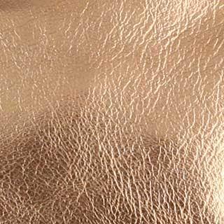 The Metallic Eyeglass Case