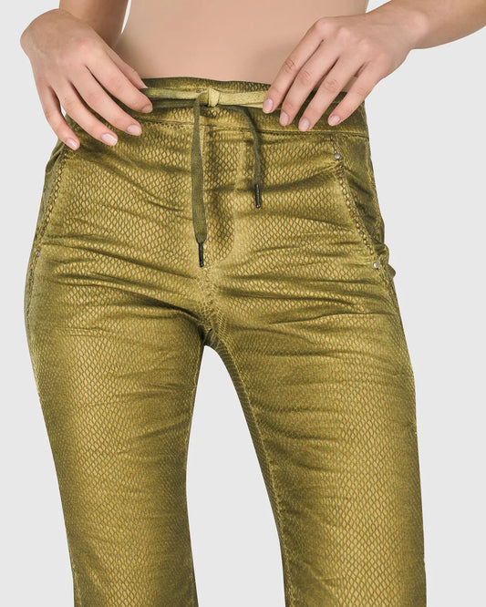 Iconic Stretch Jeans SP819G - Alembika