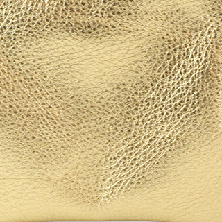 The Stadium Stuff Sack / Backpack: Gold