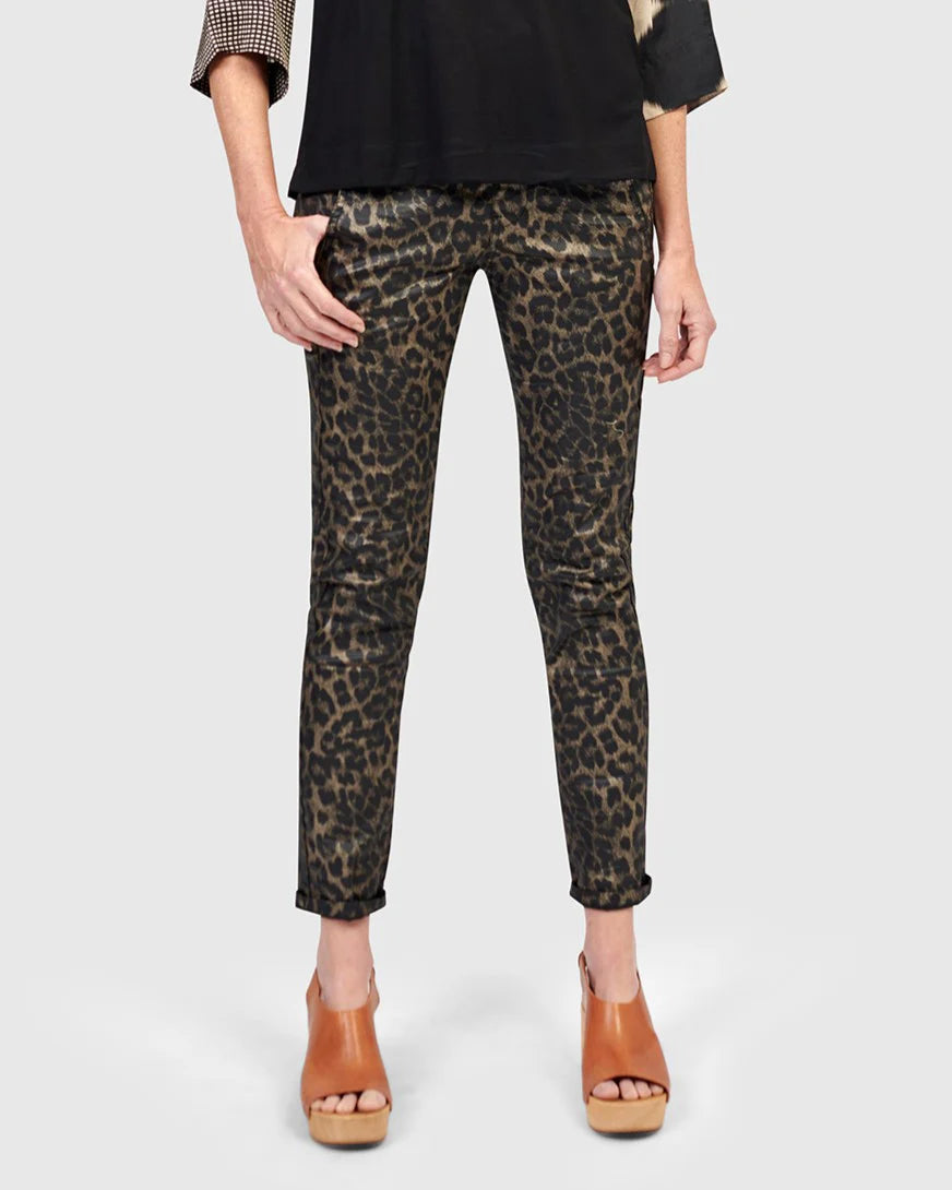 Animal Iconic Stretch Jeans SP620L - Alembika